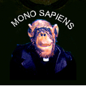 camiseta_mono_sapiens_negra